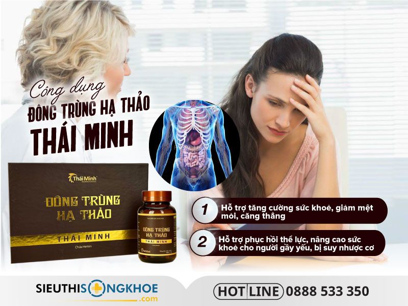 công dụng của đông trùng hạ thảo thái minh