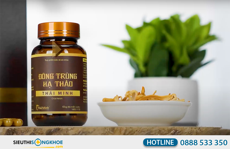 đông trùng hạ thảo thái minh giá bao nhiêu