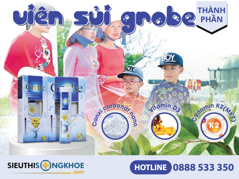 thành phần viên sủi grobe