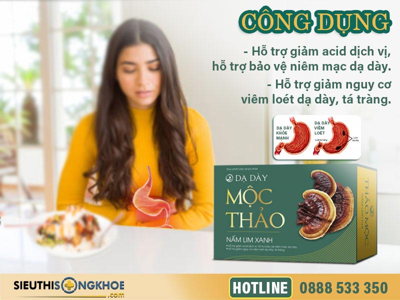 công dụng của dạ dày mộc thảo