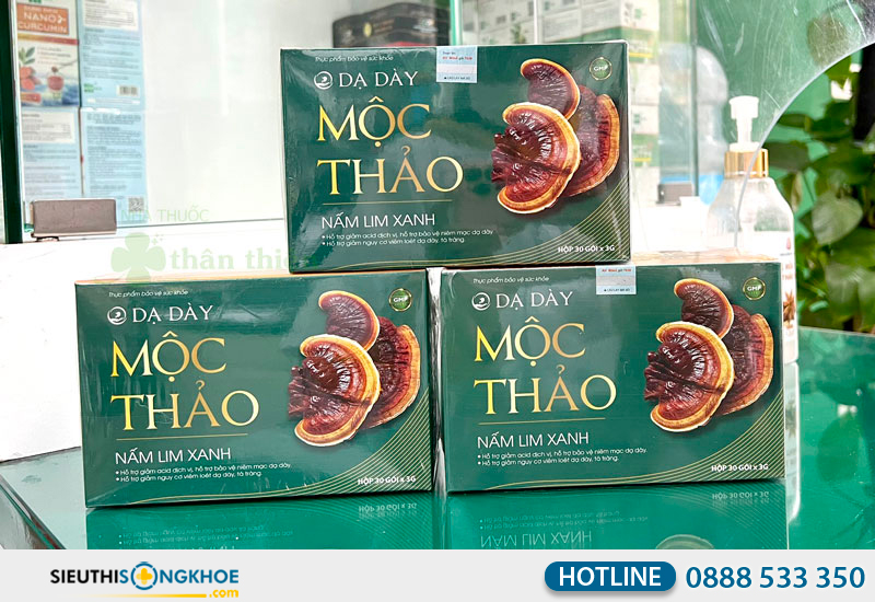 dạ dày mộc thảo có tốt không