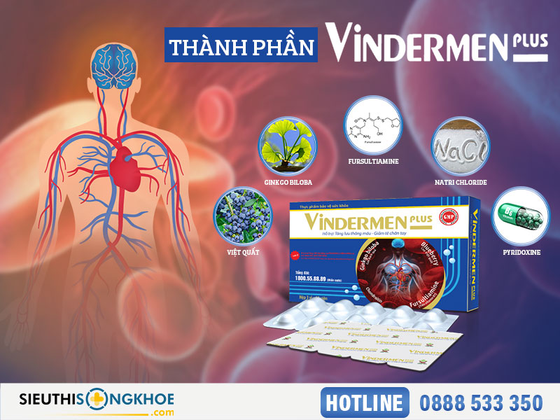 thành phần của vindermen plus