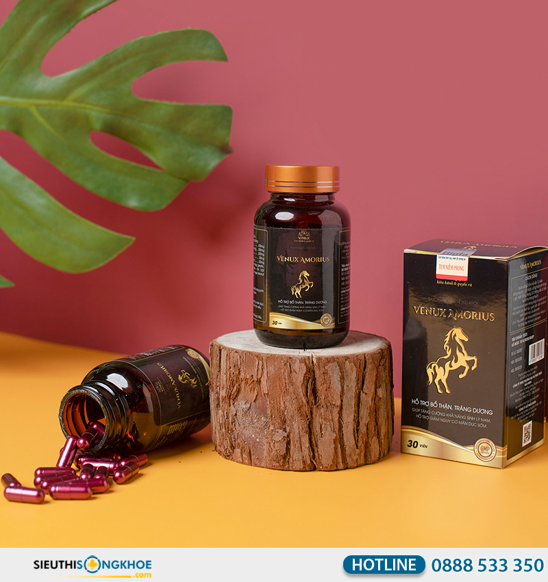venux amorius mua ở đâu