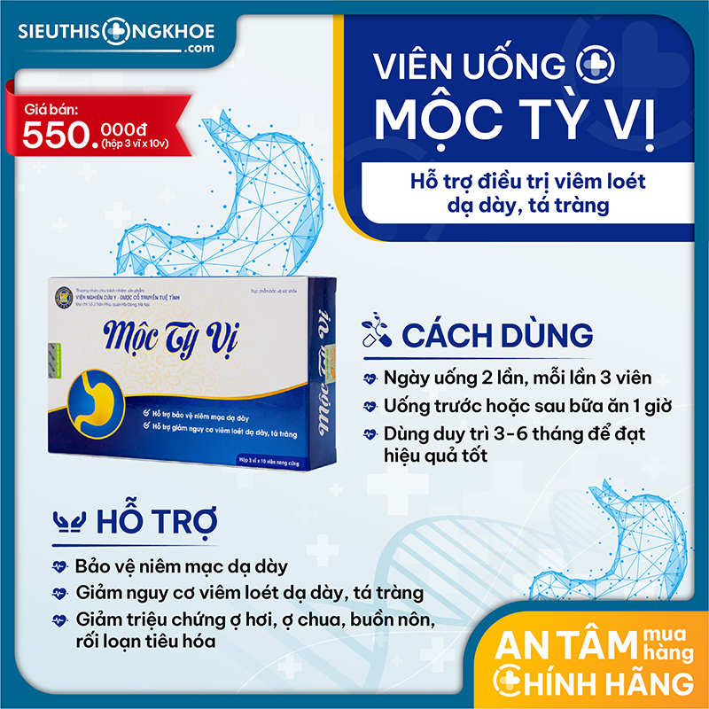 mộc tỳ vị dạ dày