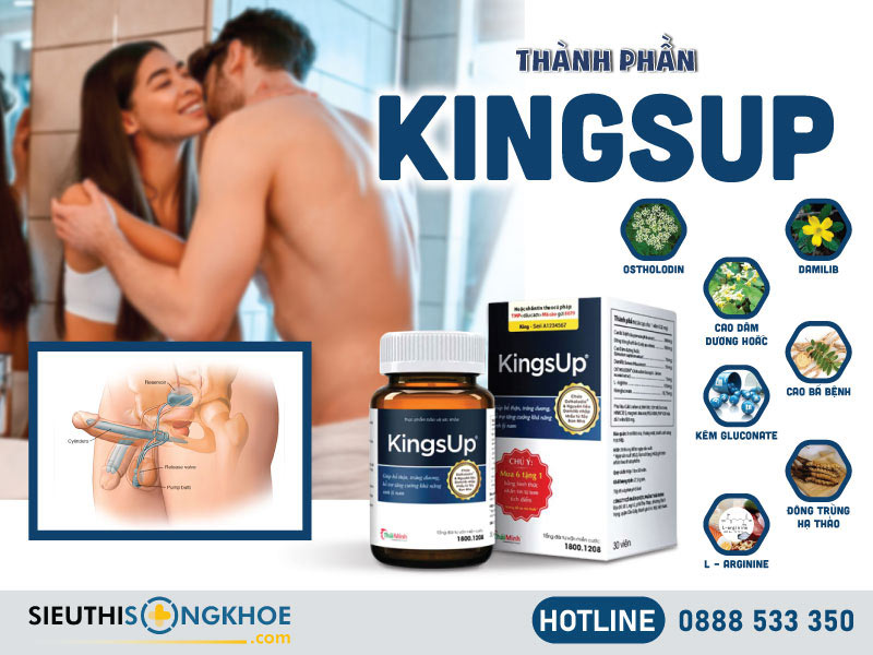 thành phần của kingsup