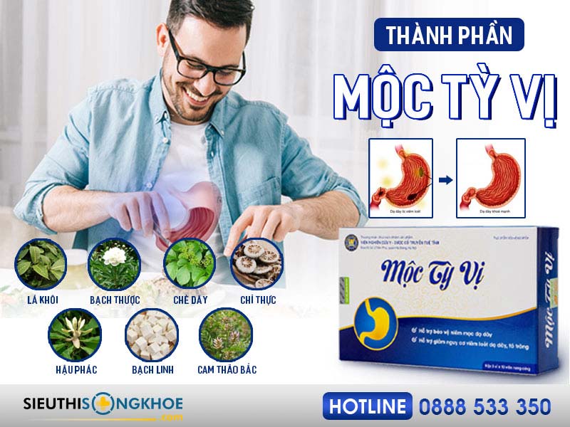thành phần của mộc tỳ vị