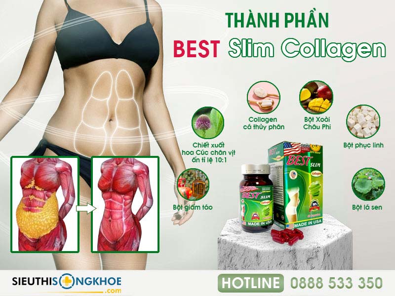 thành phần của best slim collagen