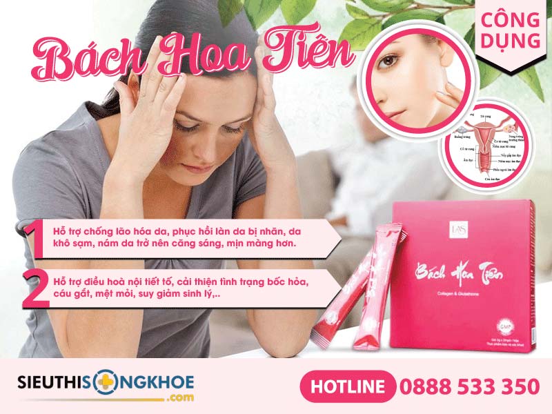 công dụng của bách hoa tiên