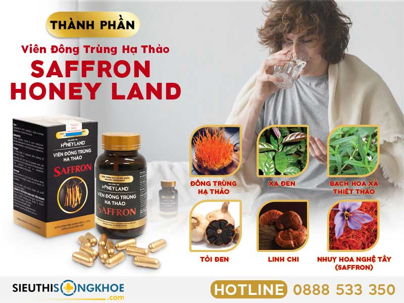 thành phần viên đông trùng hạ thảo saffron honey land