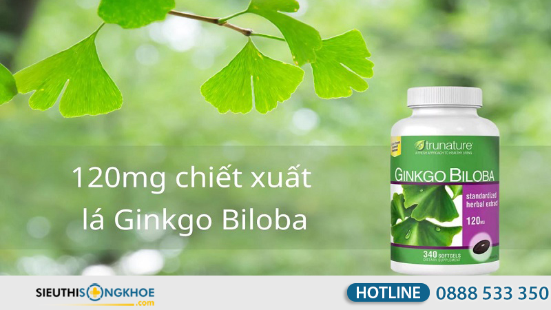cách uống thuốc bổ não của Mỹ Ginkgo Biloba