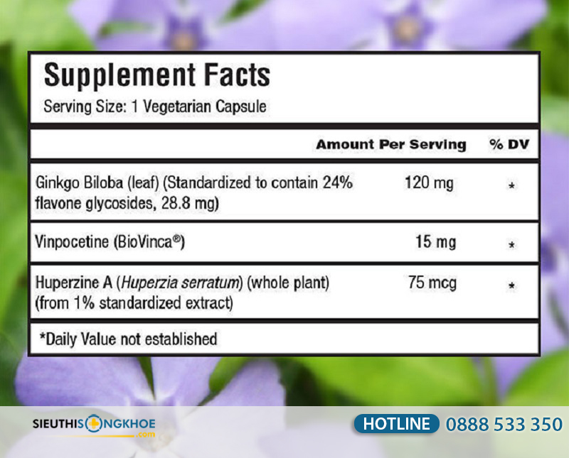 Thành phần của Ginkgo Biloba gồm các thảo dược thiên nhiên