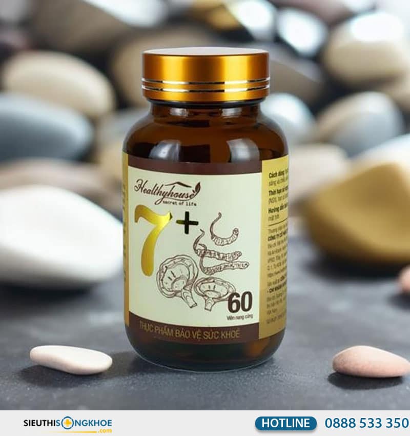 đông trùng linh chi 7+ giá bao nhiêu