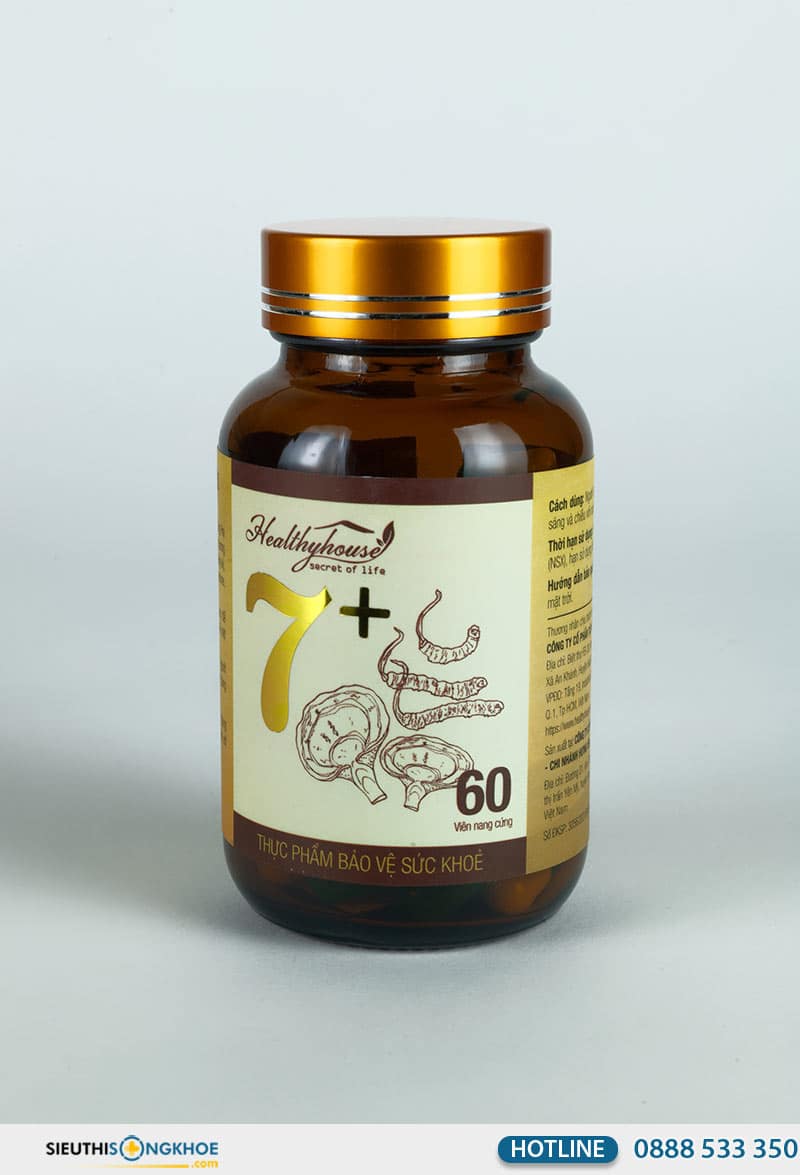 đông trùng linh chi 7 plus